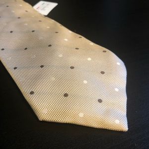 Italo Ferretti silk Tie